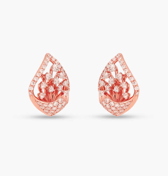 The Scintillating Earrings